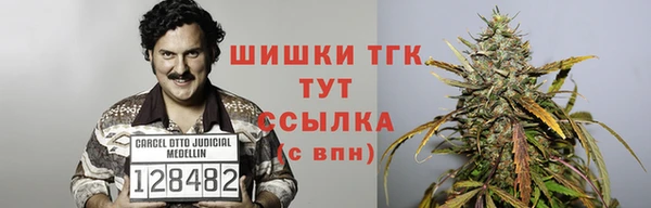 соль ск Богородицк