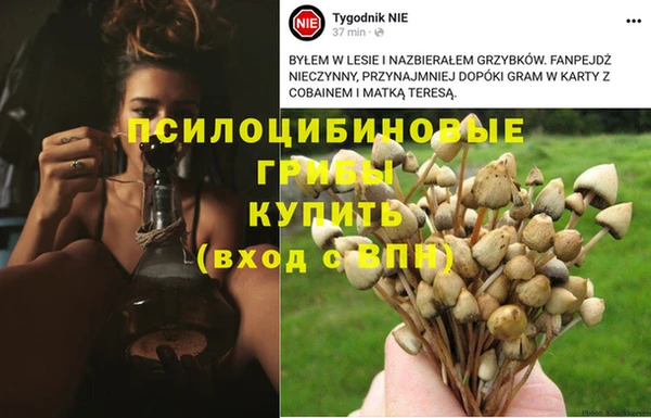 а пвп мука Белоозёрский