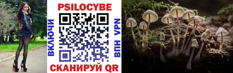 купить наркотик  Бородино  Галлюциногенные грибы ЛСД 